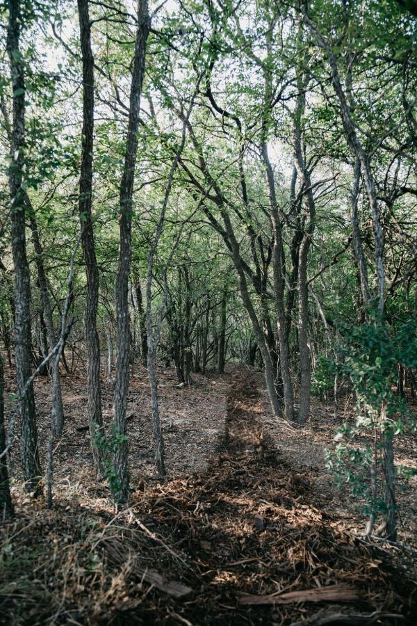 Creed'S Cottage At Four Oaks New Braunfels Bagian luar foto